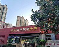 寶睿未來國際小學(xué)教室照明改造